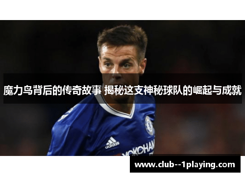 魔力鸟背后的传奇故事 揭秘这支神秘球队的崛起与成就